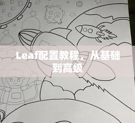 Leaf配置教程，从基础到高级