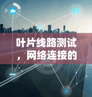 叶片线路测试，网络连接的关键环节
