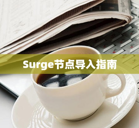 Surge节点导入指南 Surge节点导入指南
