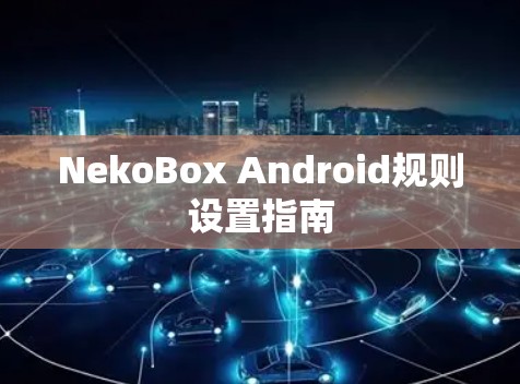 NekoBox Android规则设置指南