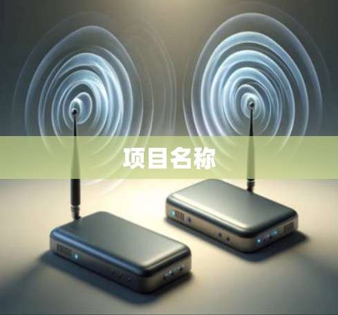 项目名称 项目名称
