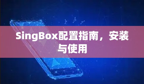 SingBox配置指南,安装与使用 SingBox配置指南,安装与使用