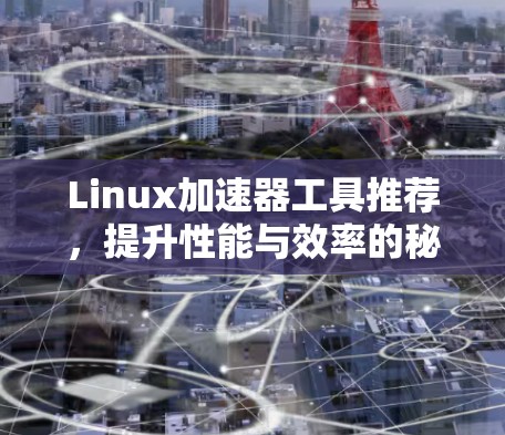 Linux加速器工具推荐，提升性能与效率的秘籍