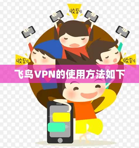 飞鸟VPN的使用方法如下 飞鸟VPN的使用方法如下
