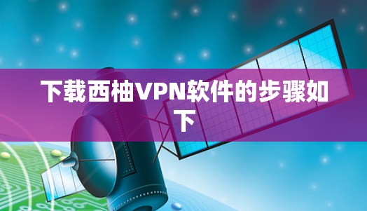 下载西柚VPN软件的步骤如下 下载西柚VPN软件的步骤如下