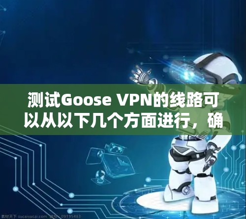 测试Goose VPN的线路可以从以下几个方面进行，确保其速度、稳定性和安全性