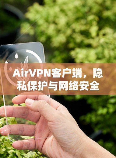 AirVPN客户端，隐私保护与网络安全的解决方案