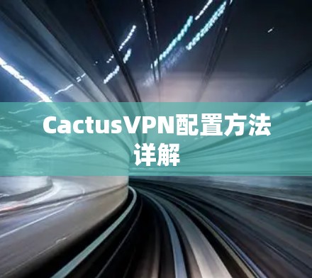 CactusVPN配置方法详解 CactusVPN配置方法详解