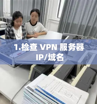 1.检查 VPN 服务器 IP/域名