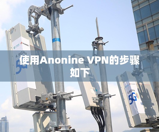 使用Anonine VPN的步骤如下 使用Anonine VPN的步骤如下