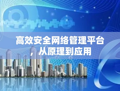 高效安全网络管理平台，从原理到应用