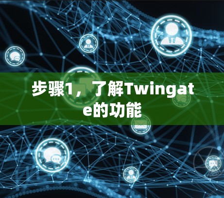 步骤1，了解Twingate的功能