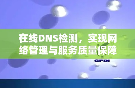 在线DNS检测,实现网络管理与服务质量保障 在线DNS检测,实现网络管理与服务质量保障