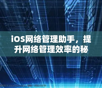 iOS网络管理助手,提升网络管理效率的秘密武器 iOS网络管理助手,提升网络管理效率的秘密武器
