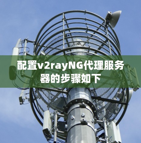 配置v2rayNG代理服务器的步骤如下
