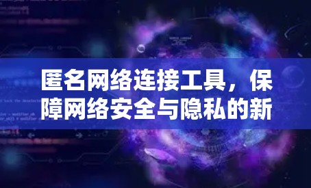 匿名网络连接工具，保障网络安全与隐私的新方案