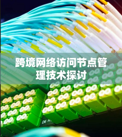 跨境网络访问节点管理技术探讨