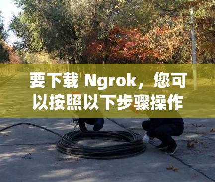要下载 Ngrok，您可以按照以下步骤操作