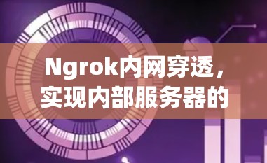 Ngrok内网穿透，实现内部服务器的互联网访问