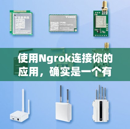 使用Ngrok连接你的应用，确实是一个有效的方法来获取公共URL。以下是详细的步骤指南