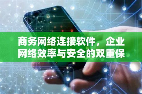 商务网络连接软件，企业网络效率与安全的双重保障