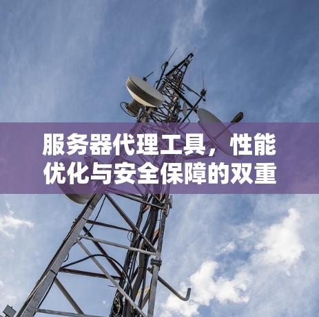 服务器代理工具，性能优化与安全保障的双重利器