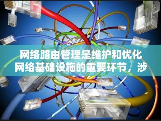 网络路由管理是维护和优化网络基础设施的重要环节，涉及配置、监控和故障排除。以下是针对网络路由管理工具的逐步学习指南
