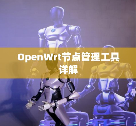 OpenWrt节点管理工具详解 OpenWrt节点管理工具详解