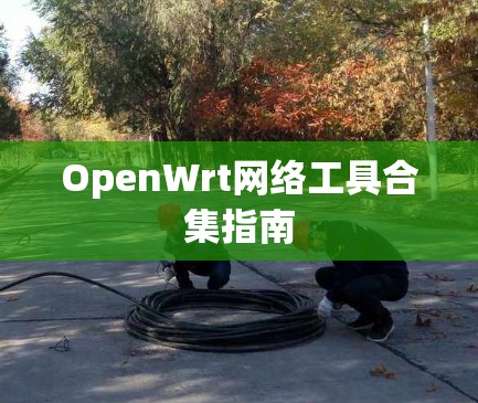 OpenWrt网络工具合集指南