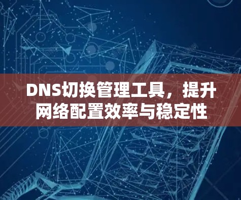 DNS切换管理工具，提升网络配置效率与稳定性