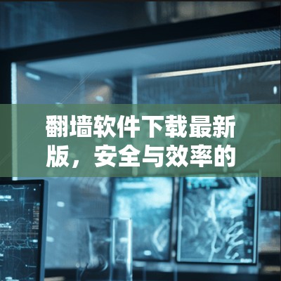 翻墙软件下载最新版，安全与效率的平衡