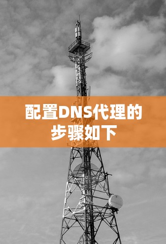 配置DNS代理的步骤如下 配置DNS代理的步骤如下