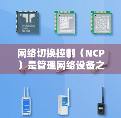网络切换控制（NCP）是管理网络设备之间切换的关键技术，确保网络高效稳定运行。以下是对网络切换控制的详细分析