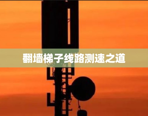 翻墙梯子线路测速之道