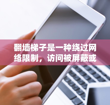 翻墙梯子是一种绕过网络限制，访问被屏蔽或受限网站的工具。以下是配置翻墙梯子的分步指南