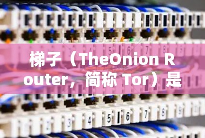梯子（TheOnion Router，简称 Tor）是一种网络隐私工具，最初是为了保护用户的隐私和安全而开发的。它通过将数据传输经过多个节点，使得来源和目的难以追踪，从而提供匿名性