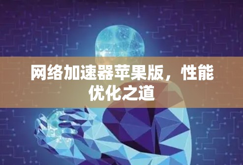 网络加速器苹果版，性能优化之道