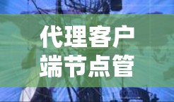 代理客户端节点管理是一个复杂的过程，涉及多个关键环节。以下是对每个环节的详细分析和总结