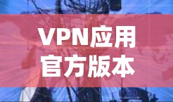 VPN应用官方版本，技术与应用解析
