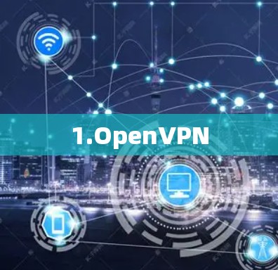 1.OpenVPN 1.OpenVPN