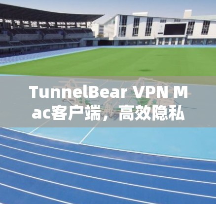 TunnelBear VPN Mac客户端，高效隐私保护，快速无缝连接