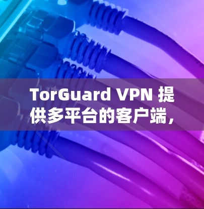 TorGuard VPN 提供多平台的客户端，包括 Windows。以下是获取和安装 TorGuard VPN 的电脑版客户端的步骤
