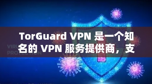TorGuard VPN 是一个知名的 VPN 服务提供商，支持多种平台，包括 Mac。以下是使用 TorGuard VPN 在 Mac 上的步骤