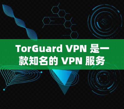 TorGuard VPN 是一款知名的 VPN 服务提供商，旨在为用户提供安全、隐私保护以及无限的互联网访问体验。以下是关于 TorGuard VPN 的一些详细信息