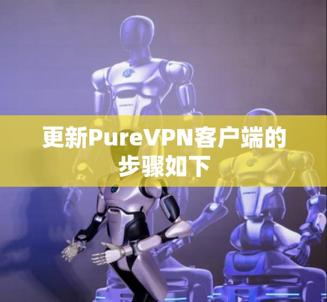 更新PureVPN客户端的步骤如下