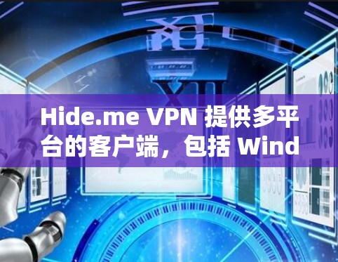 Hide.me VPN 提供多平台的客户端，包括 Windows。以下是使用 Hide.me VPN 在 Windows 上的客户端的步骤