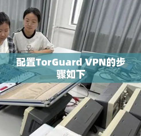 配置TorGuard VPN的步骤如下